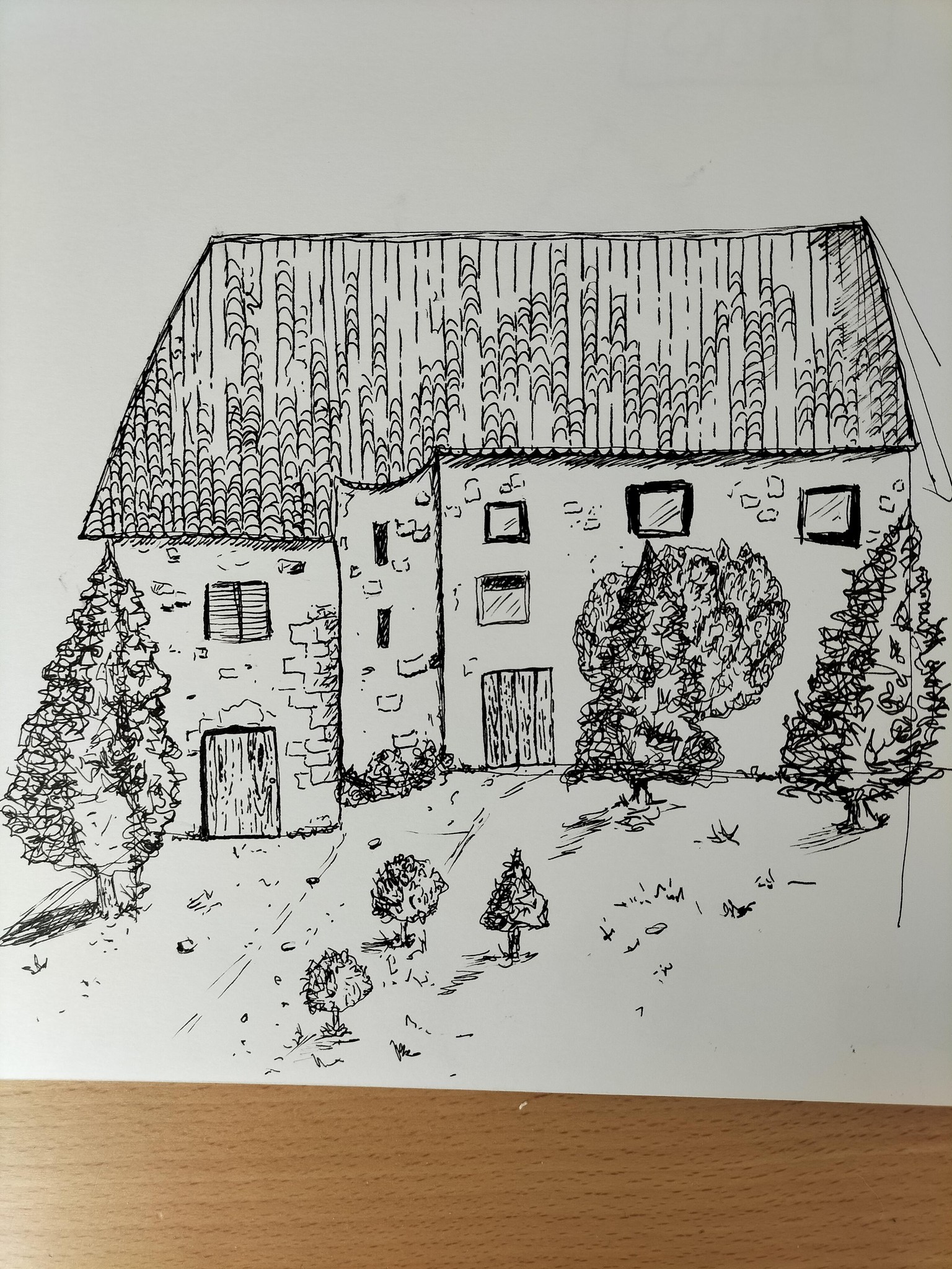 Textures with Pen and ink - image 1 - student project