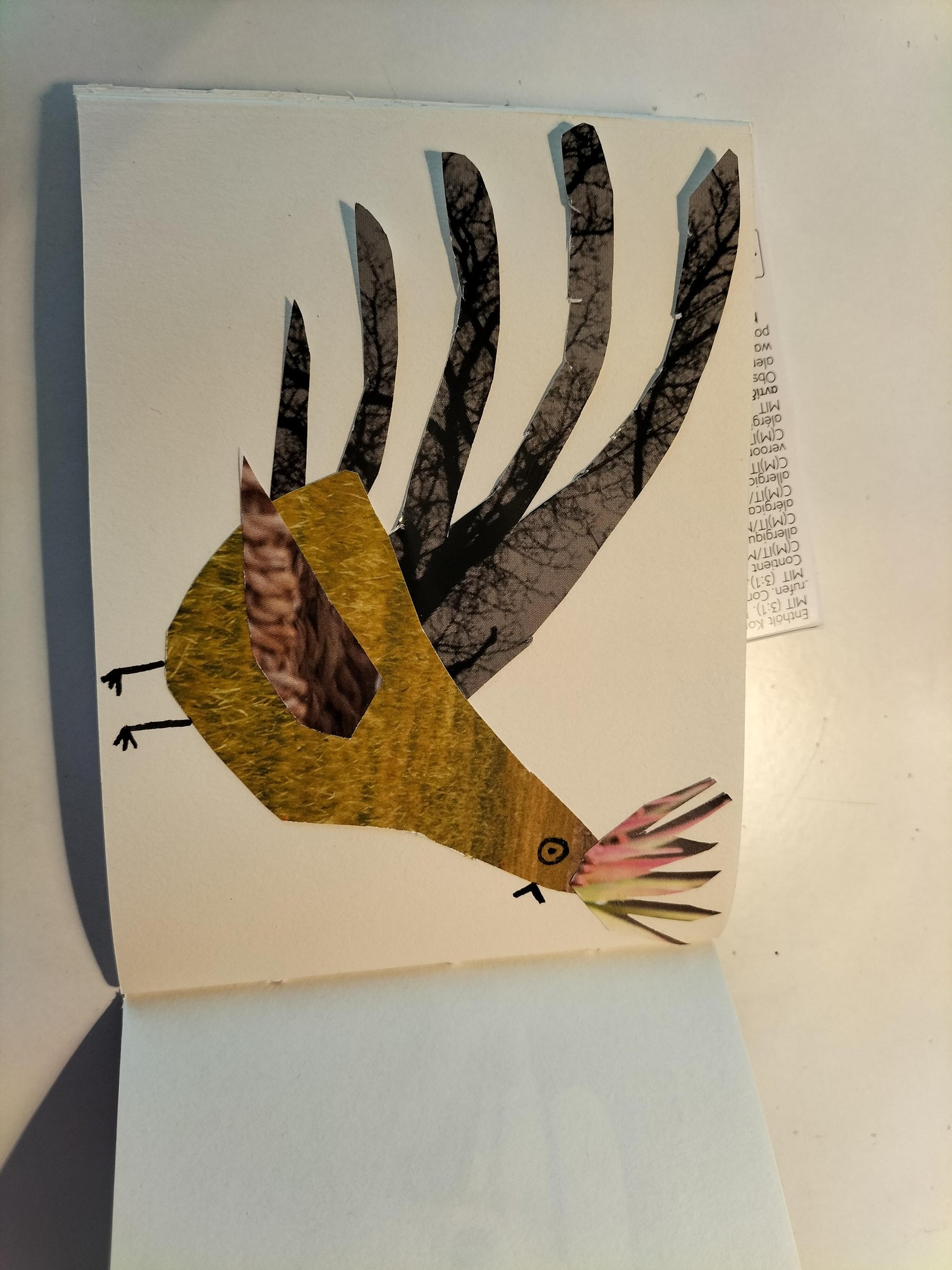 Little book of birds - image 3 - student project