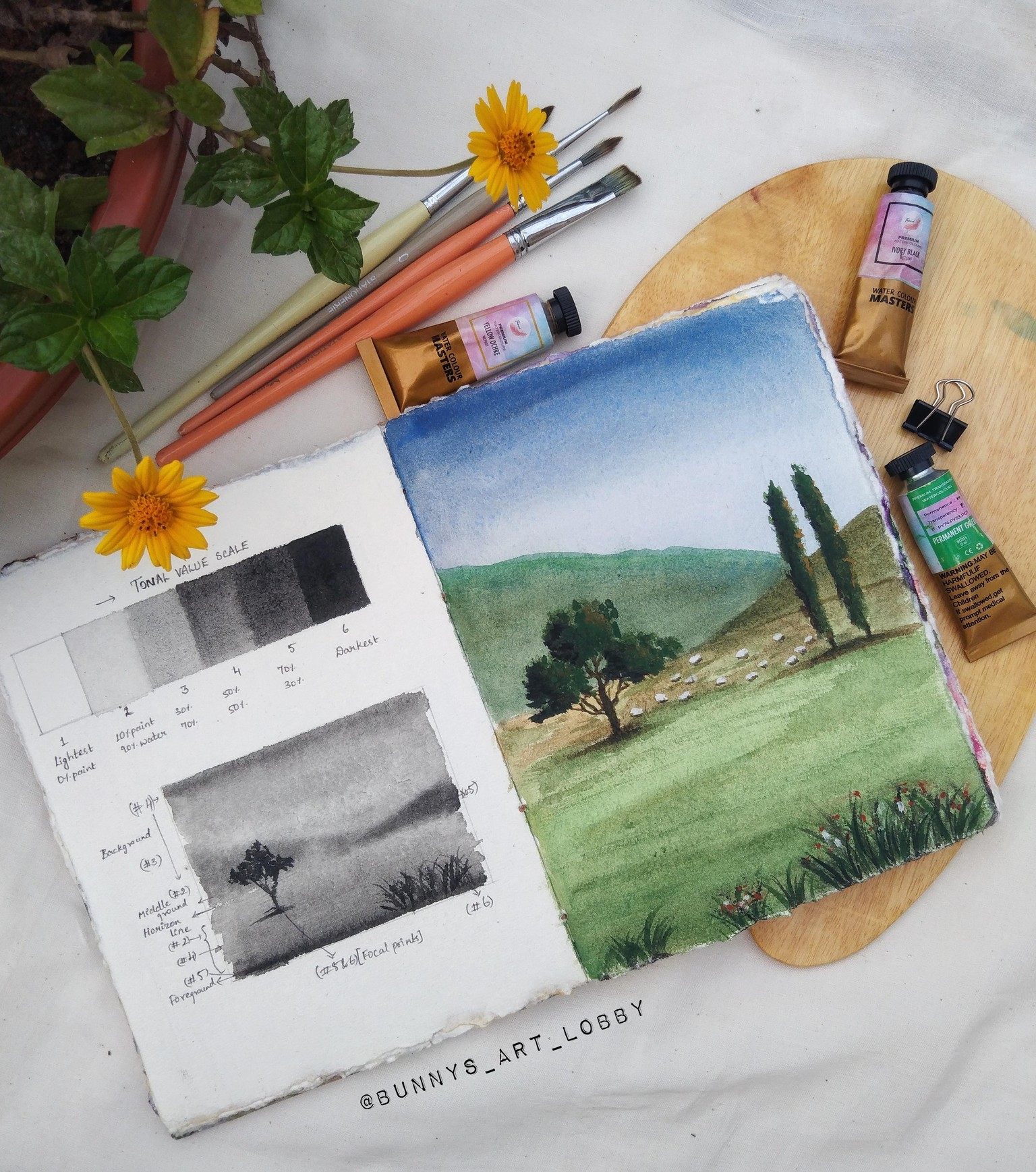 Green grassland - image 1 - student project