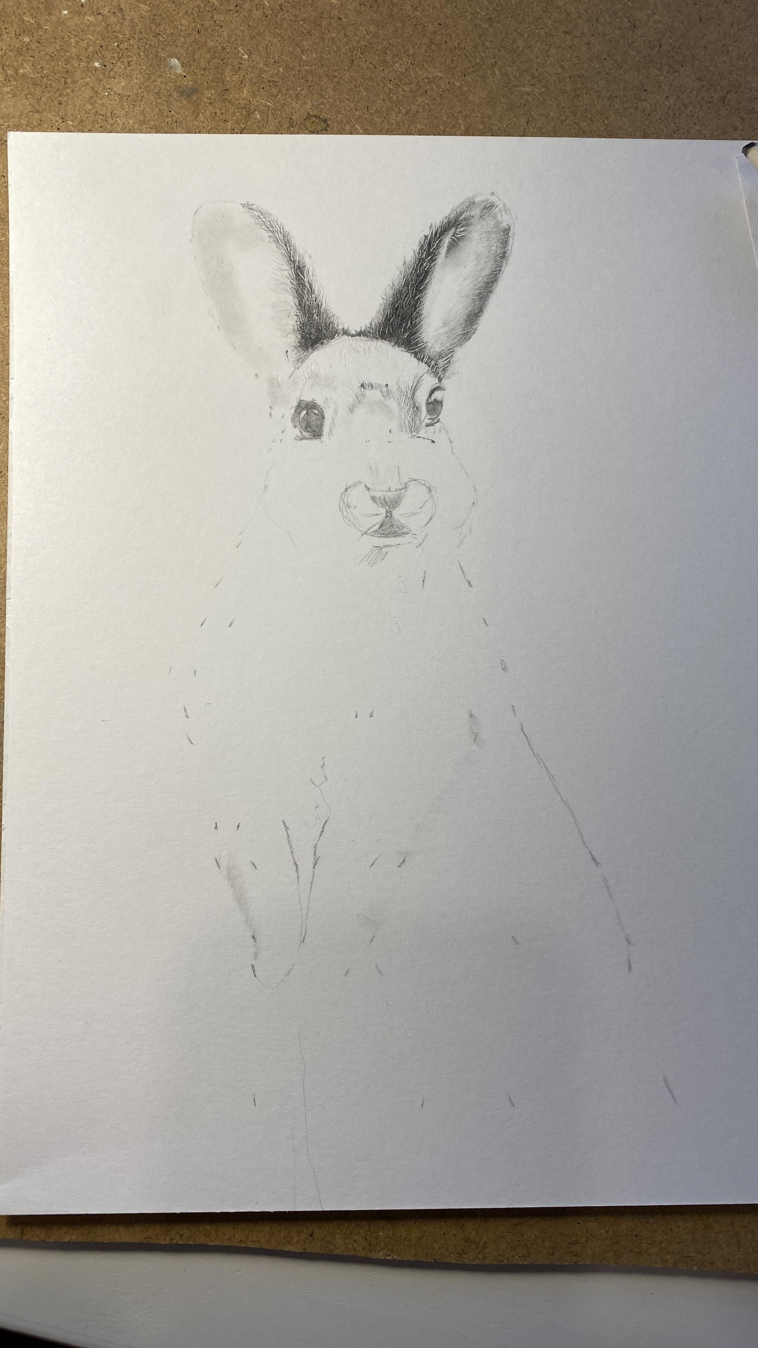 Feedback please - image 1 - student project