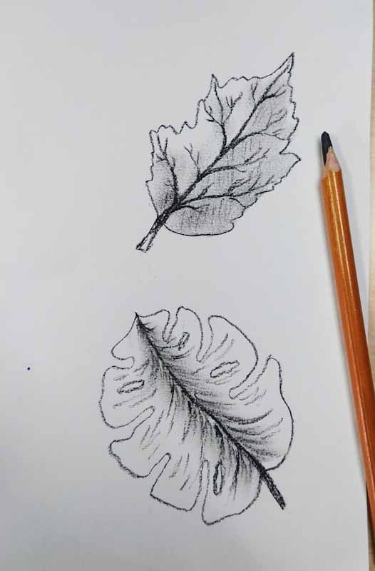 My sketches - image 1 - student project