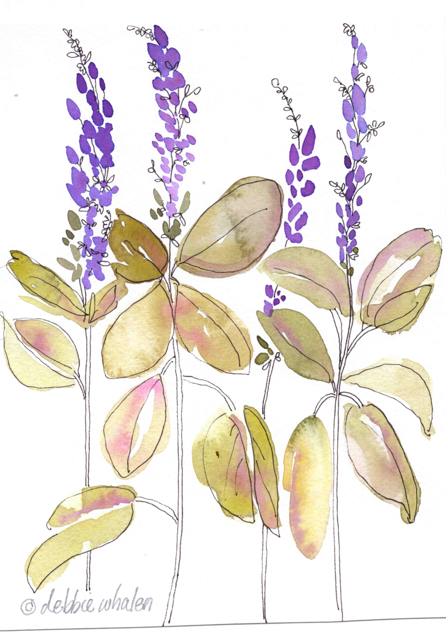 Watercolor and ink florals - image 2 - student project