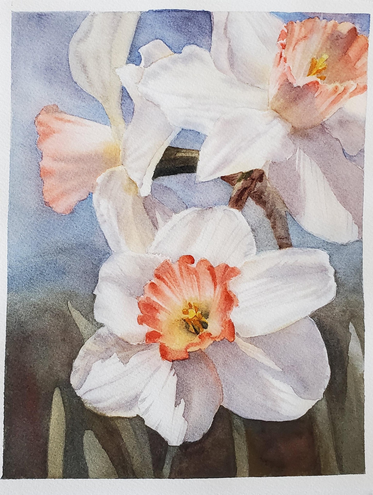 Daffodils - image 1 - student project