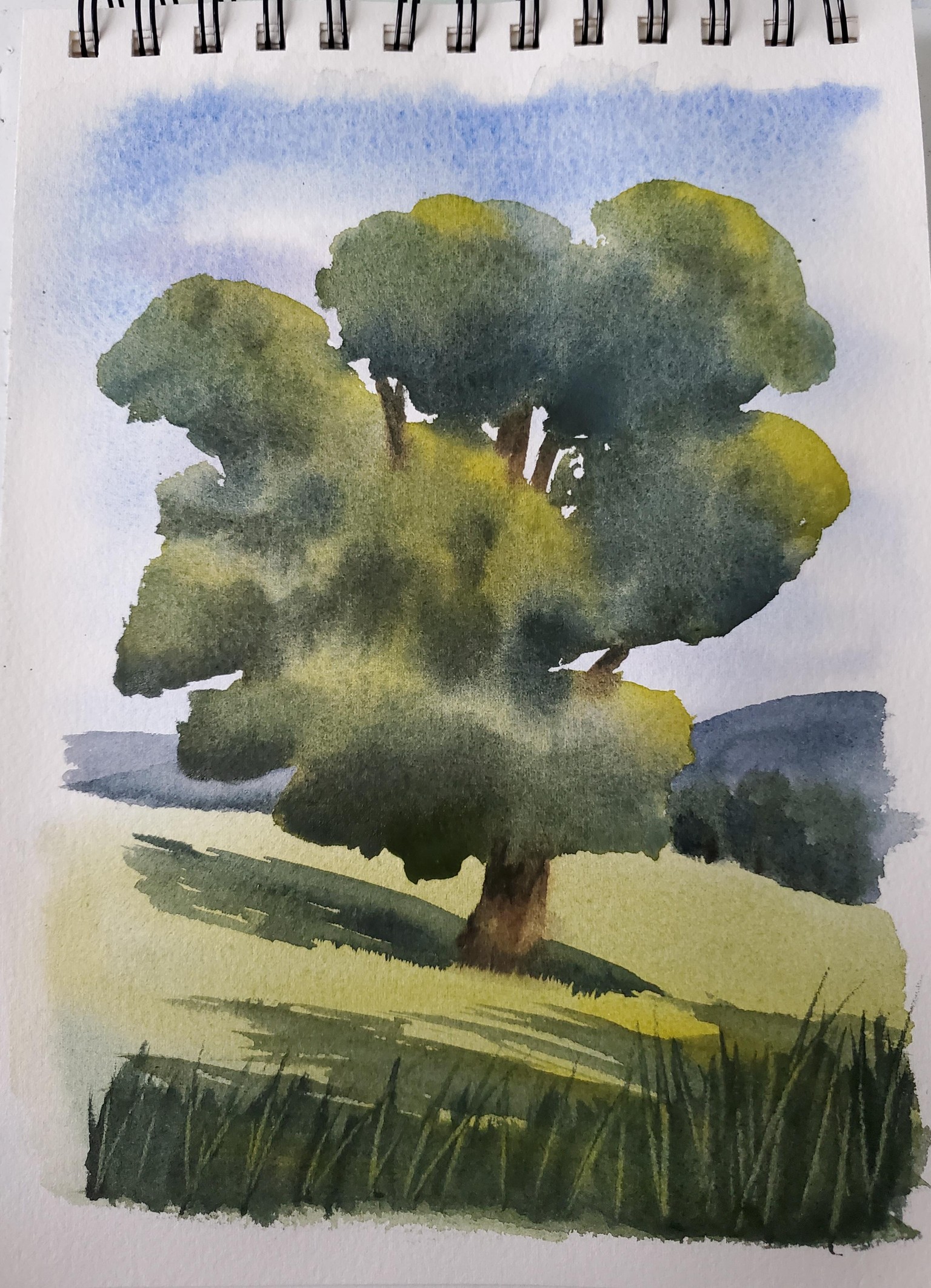 Watercolor tree - image 1 - student project