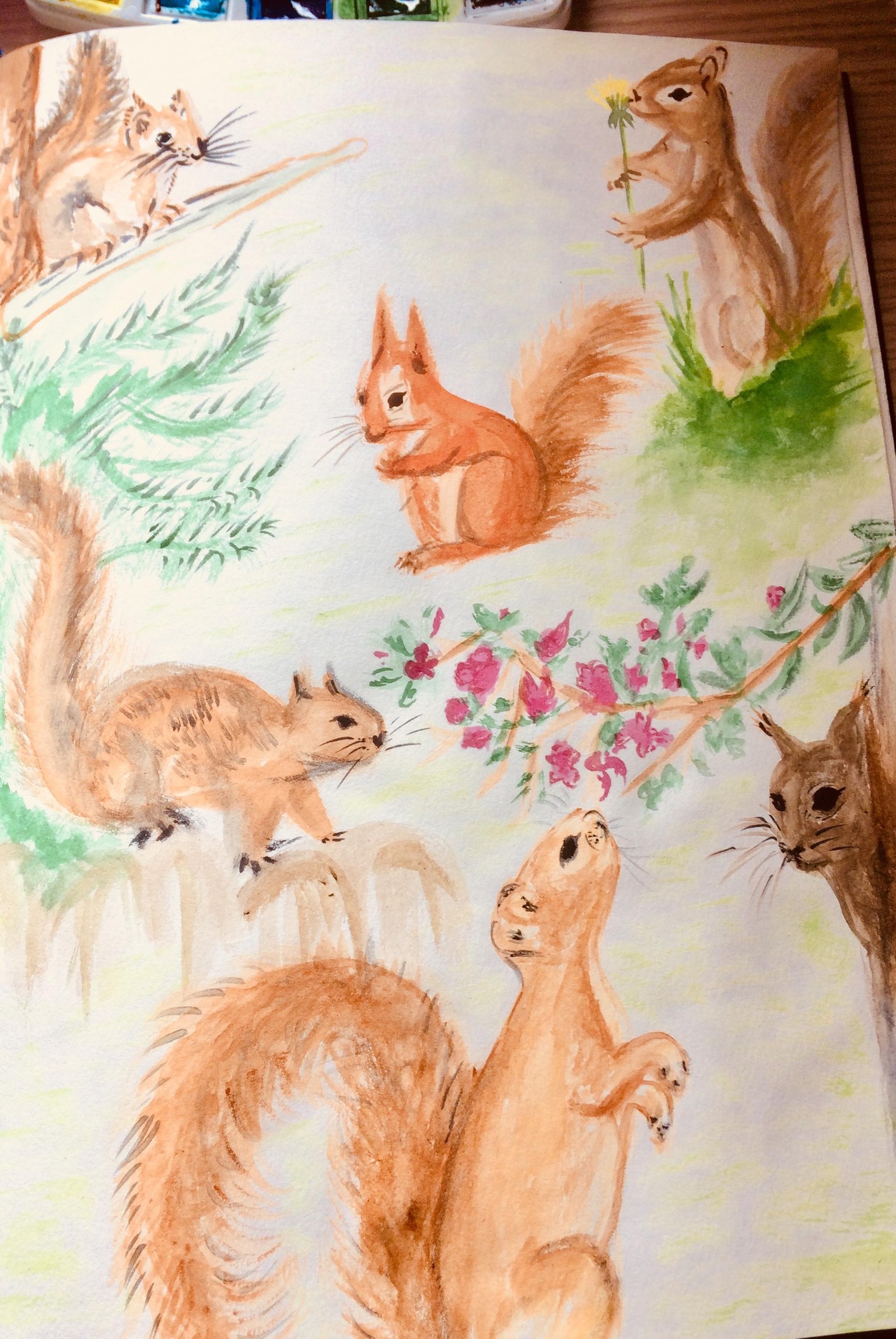 Squirrels and Flowers - image 2 - student project