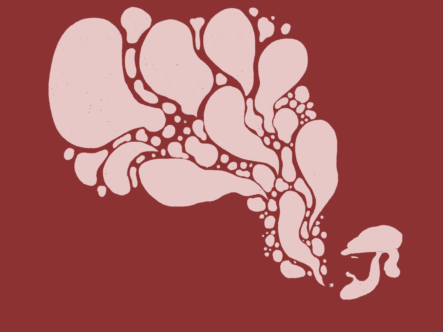 a bunch of everything - image 2 - student project