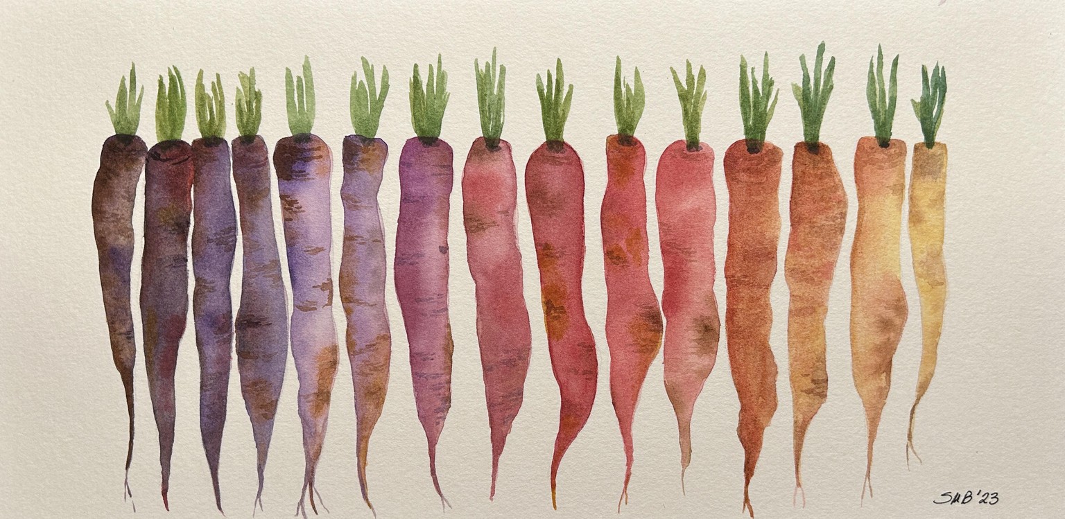 Funky Heirloom Carrots - image 1 - student project