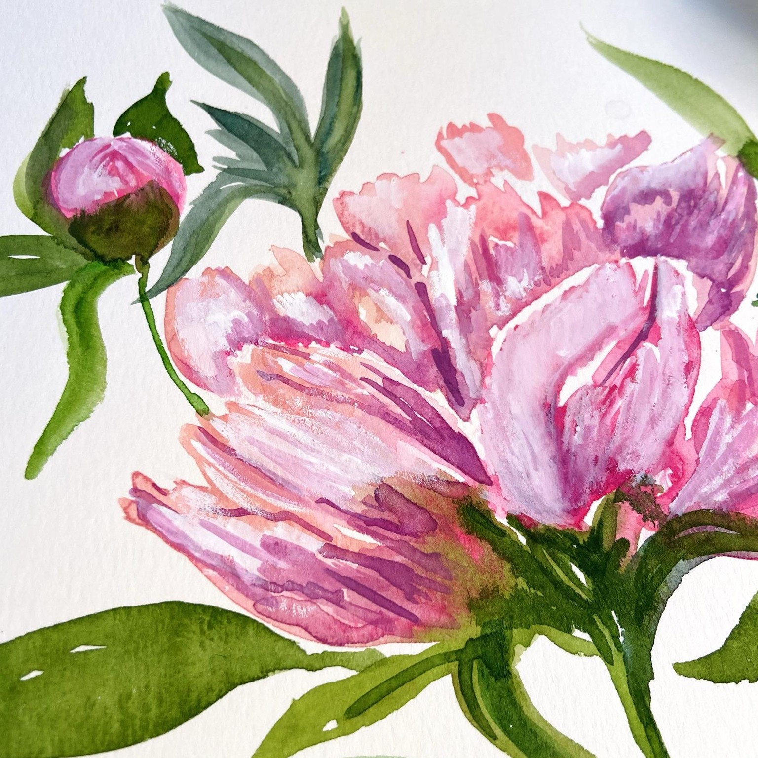 Peony Project - image 2 - student project