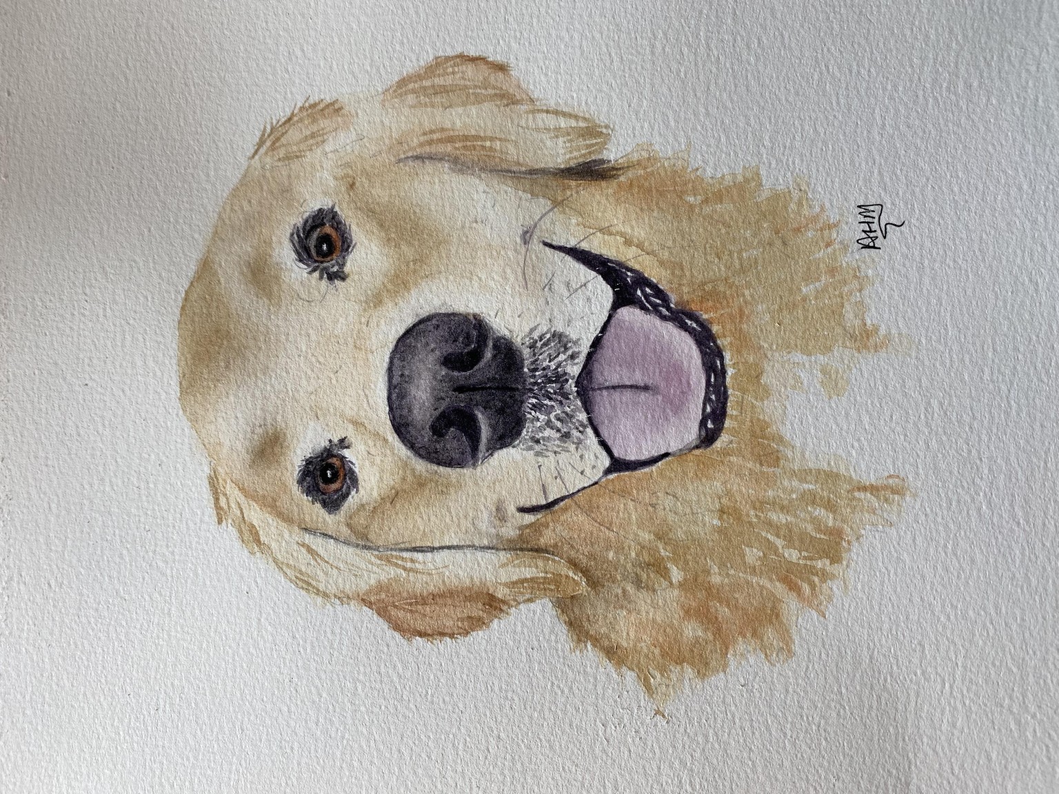 Golden Retriever - image 1 - student project