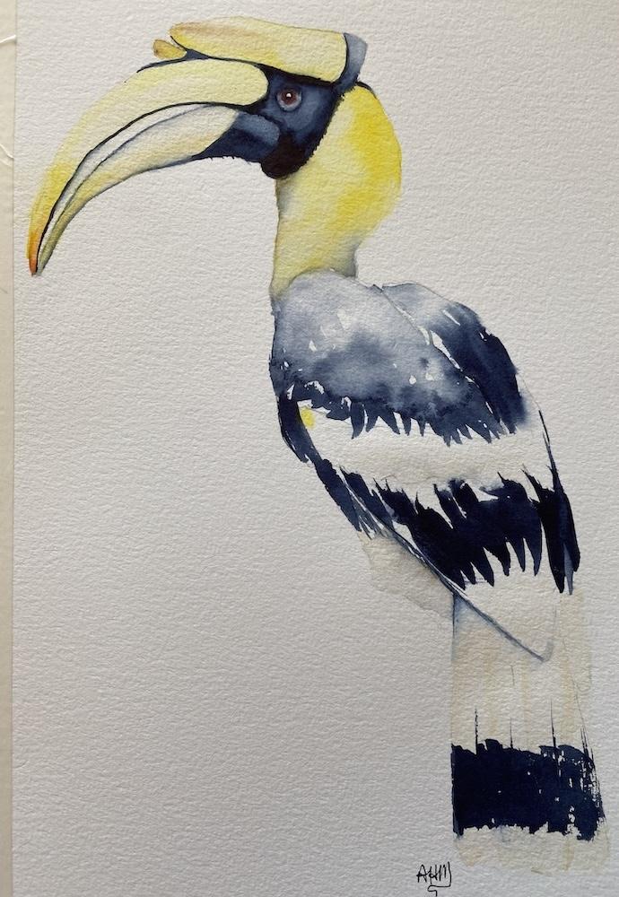 Hornbill - image 1 - student project