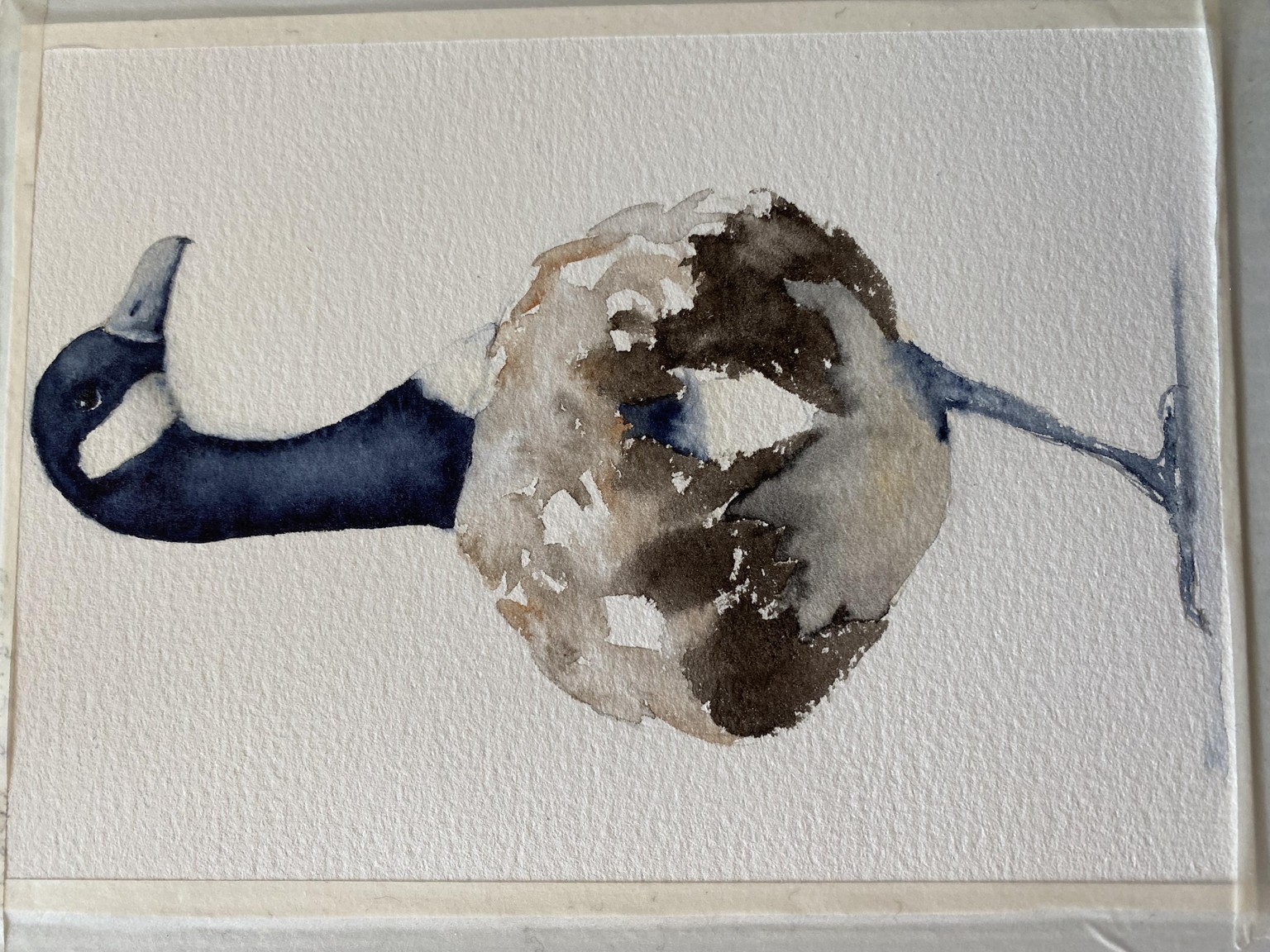 Canada Goose - image 1 - student project