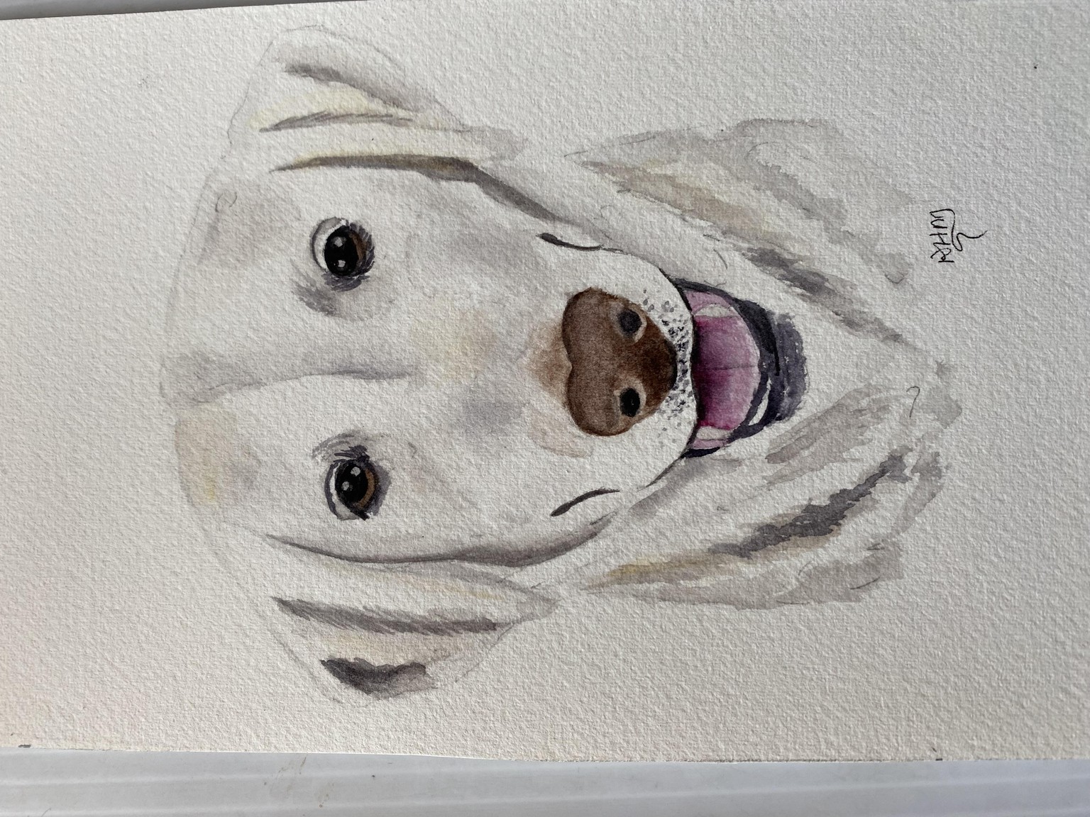 White Lab - image 1 - student project