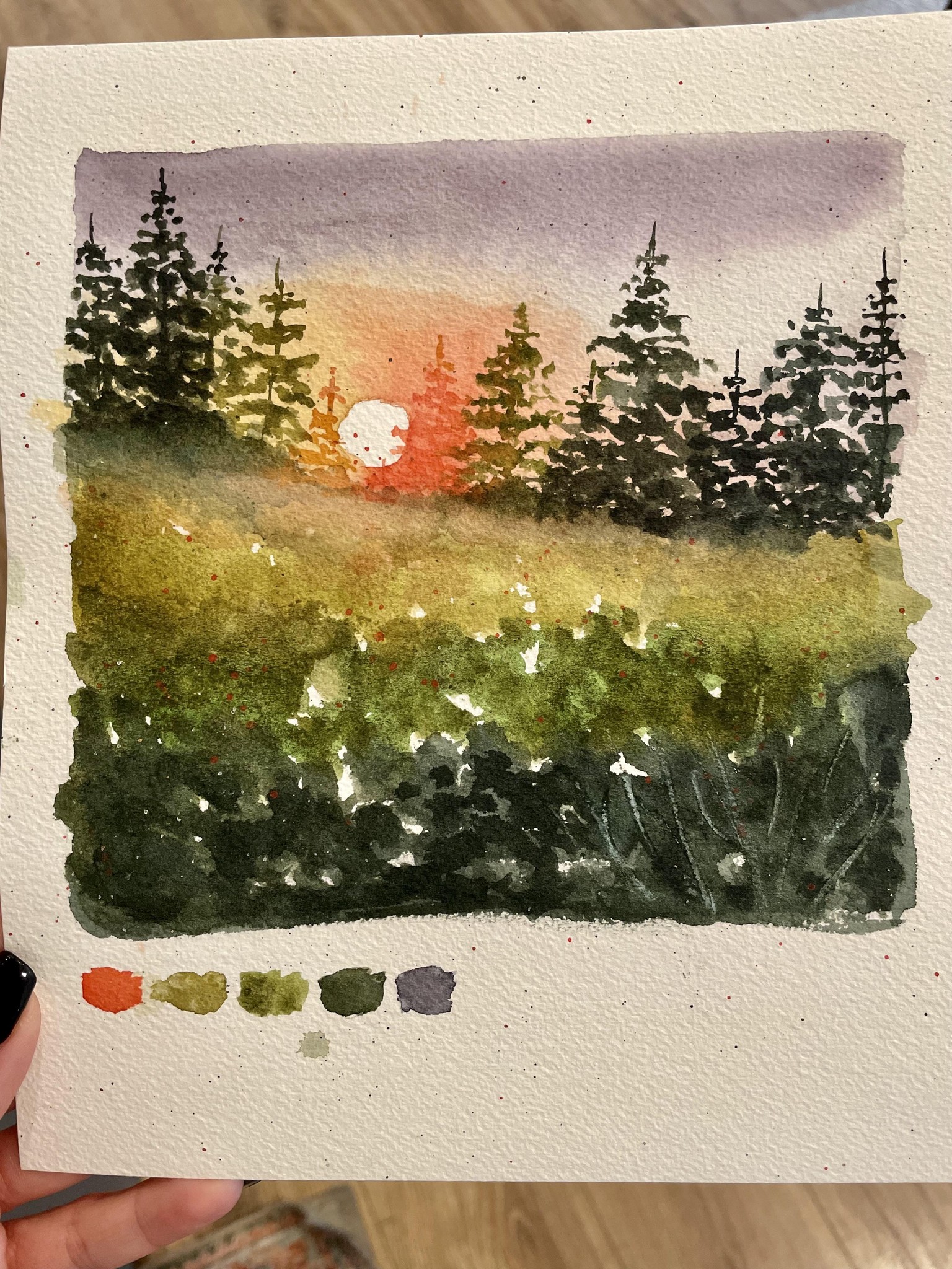 Sunset on Trees in Field - image 1 - student project