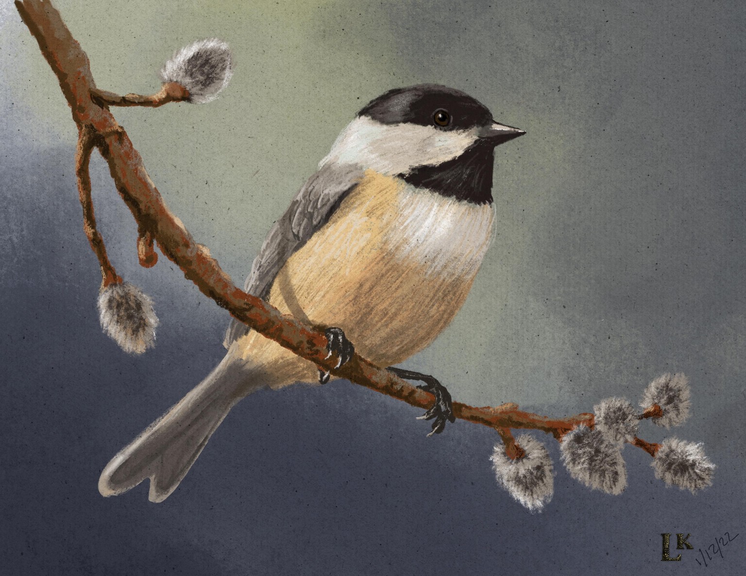 Soft Pastels: Draw Birds - image 1 - student project