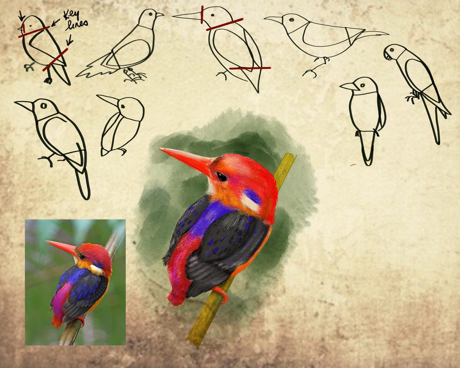 Soft Pastels: Draw Birds - image 3 - student project