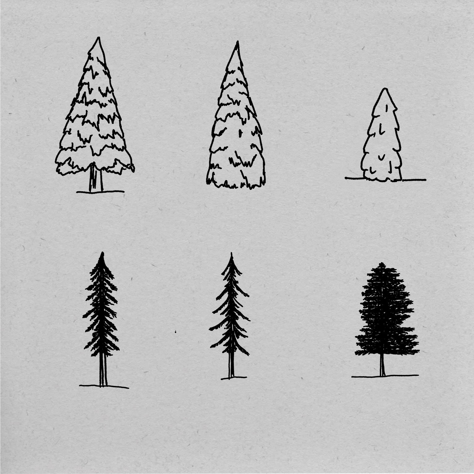 How to draw pine trees - image 1 - student project