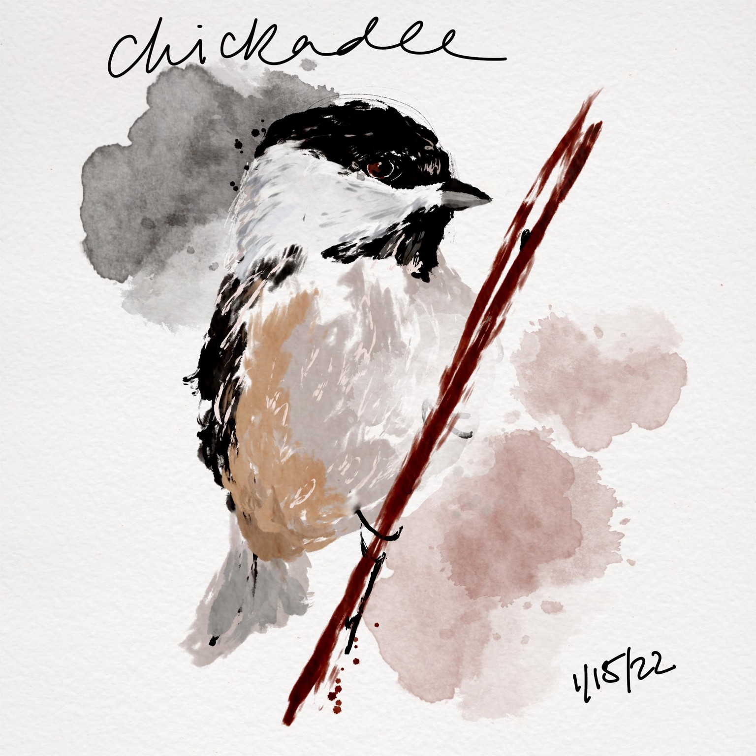 10-minute cardinal in Procreate - image 2 - student project
