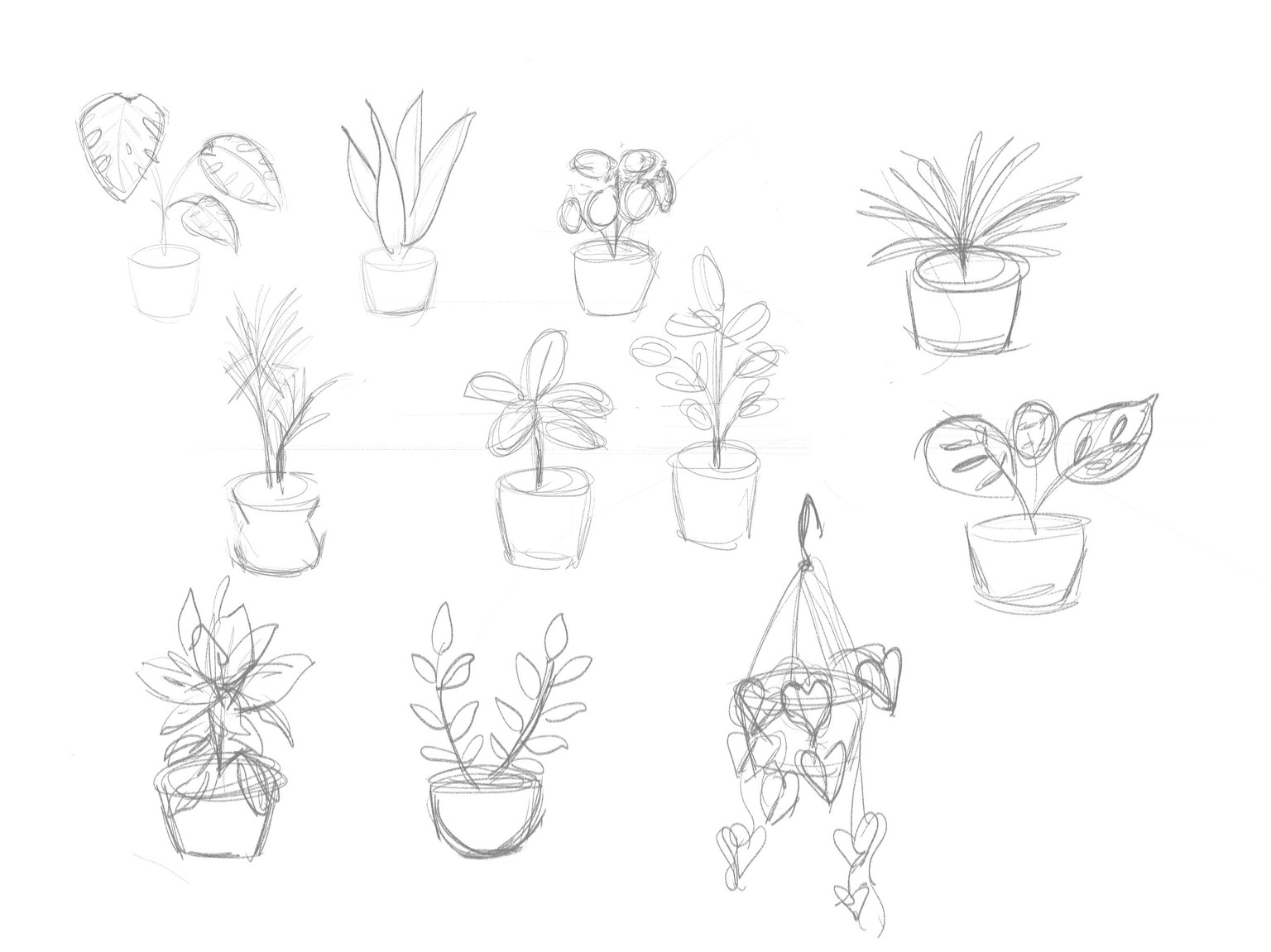 Plants & Pots - image 3 - student project