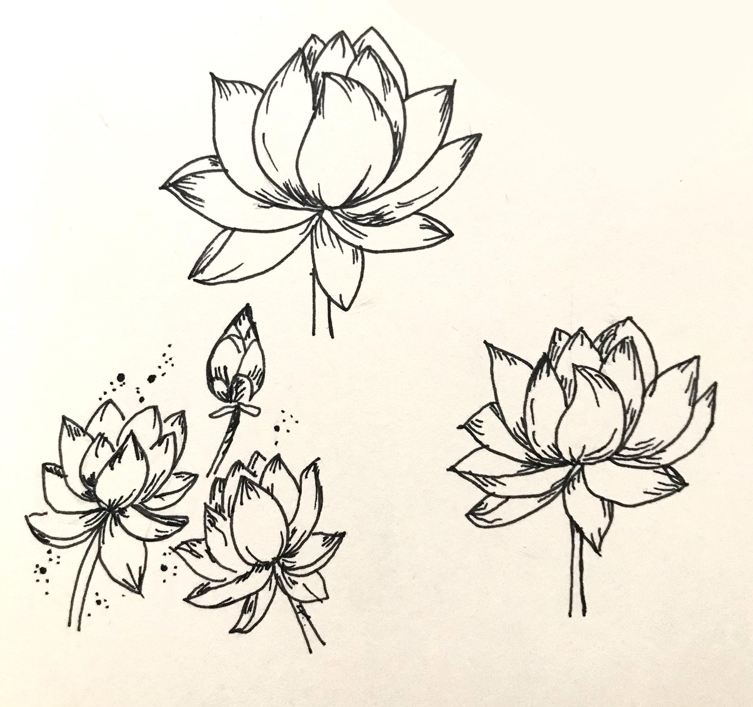 Lotus Flowers - image 1 - student project