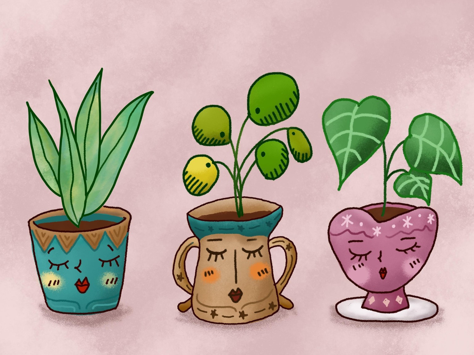 Plants & Pots - image 1 - student project