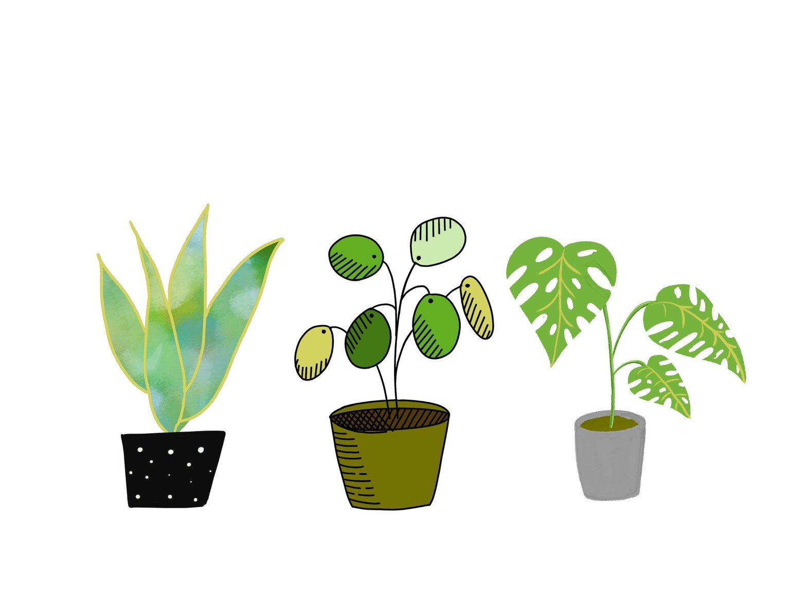 Plants & Pots - image 2 - student project