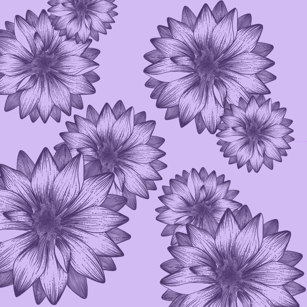 Daisy Days - image 2 - student project