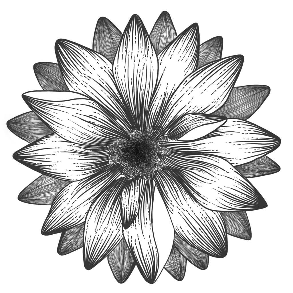 Daisy Days - image 1 - student project