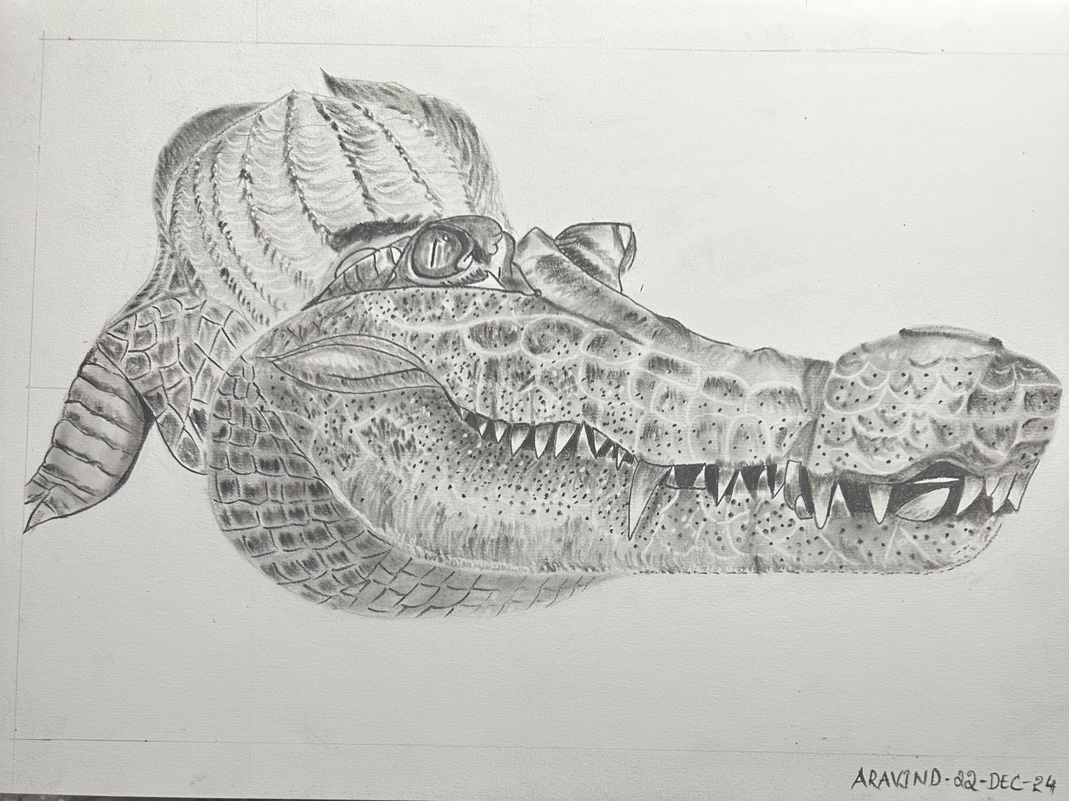 Croc - image 1 - student project