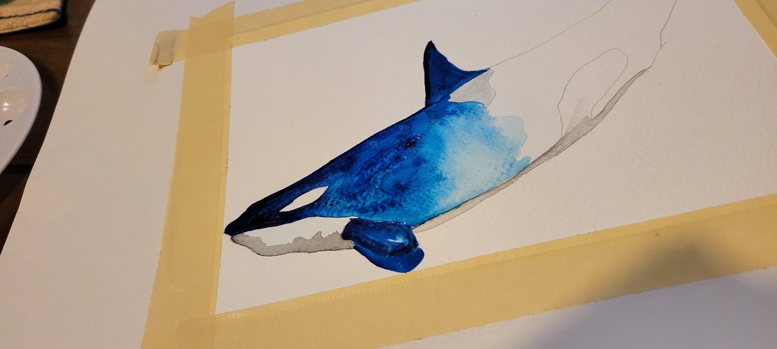 Orca Whale Watercolor painting - Lyndsay Newton - image 4 - student project