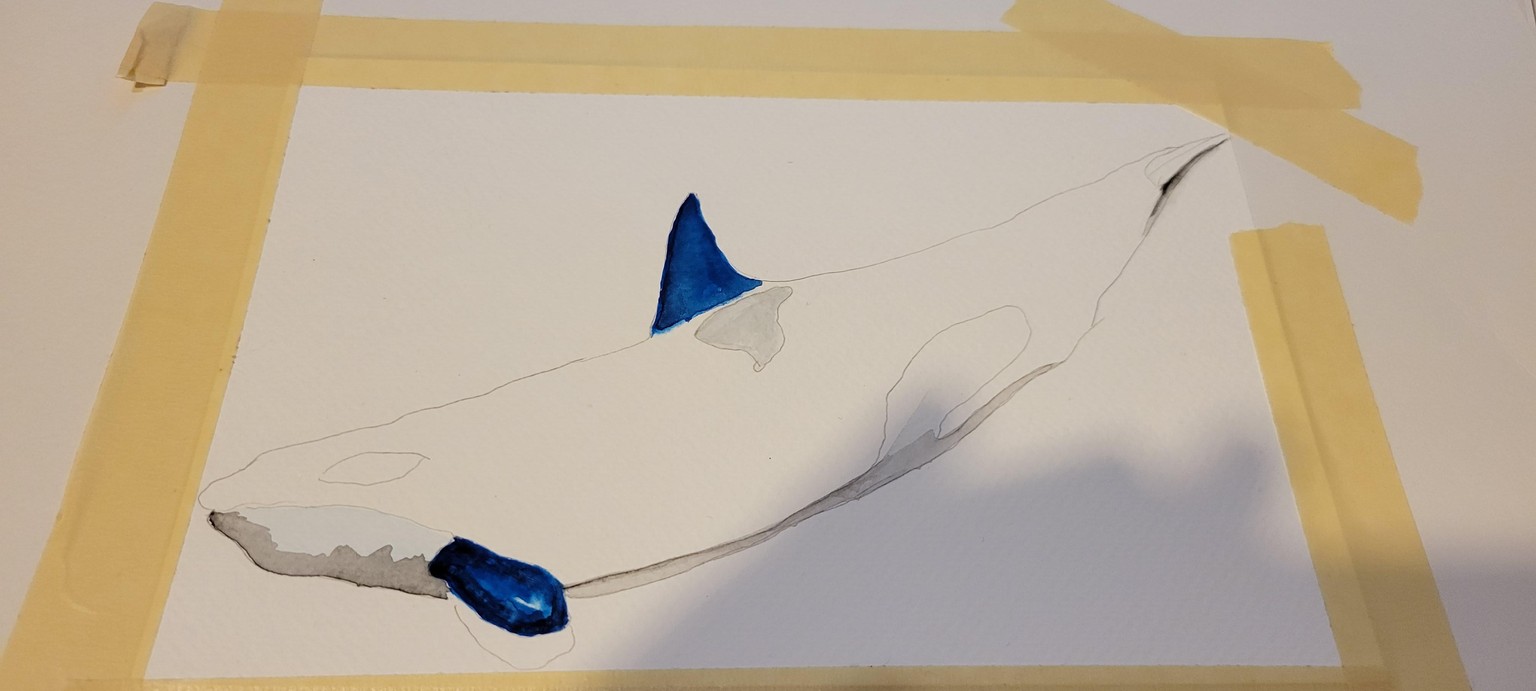 Orca Whale Watercolor painting - Lyndsay Newton - image 3 - student project