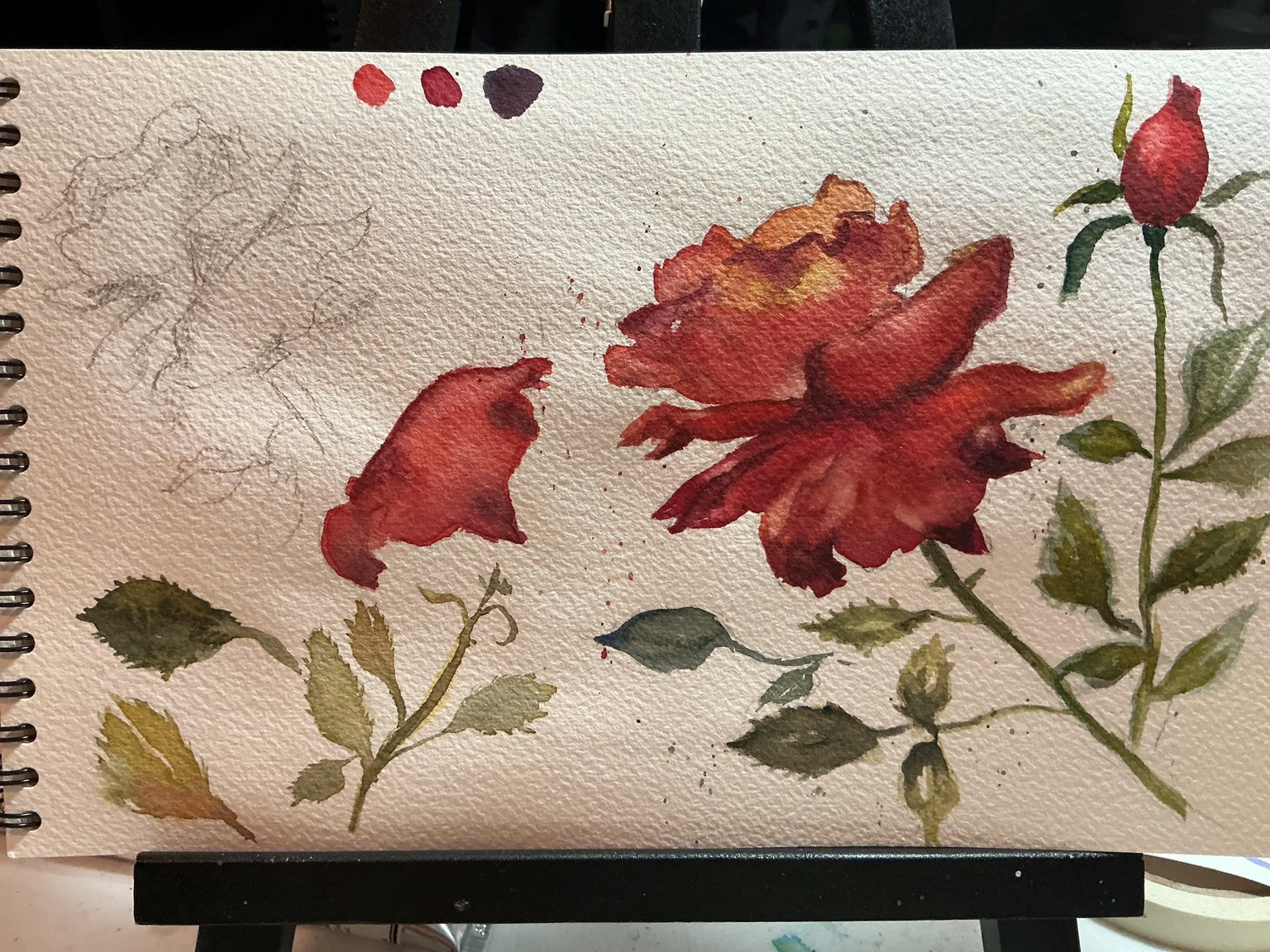 7 day watercolor challenge - image 5 - student project