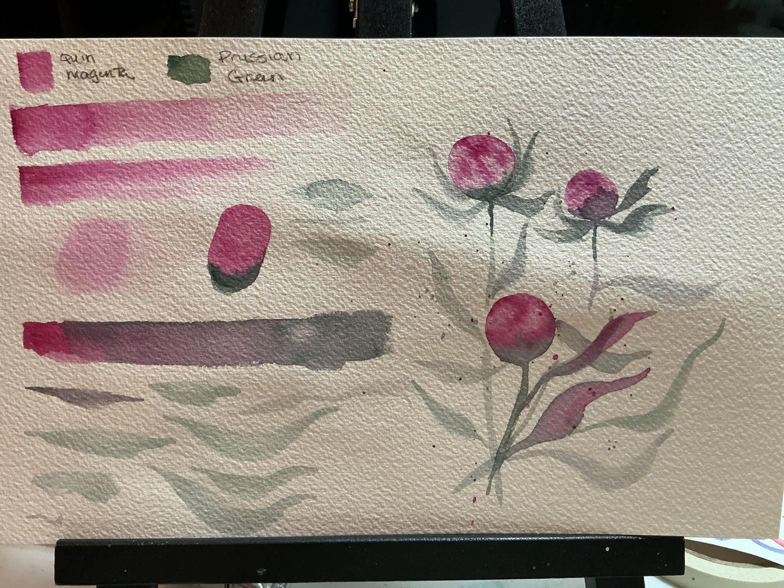7 day watercolor challenge - image 1 - student project