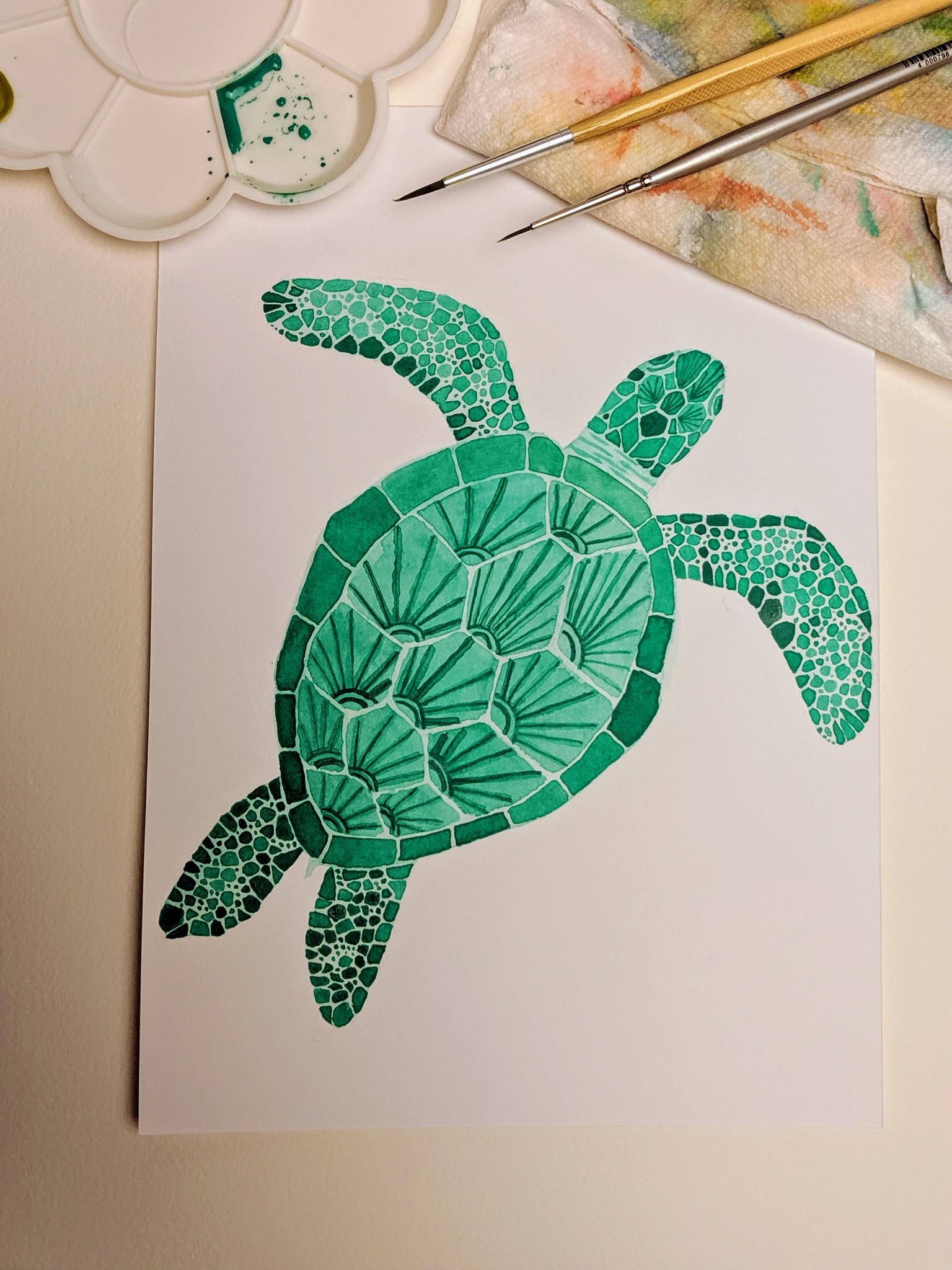 watercolor turtle - image 1 - student project