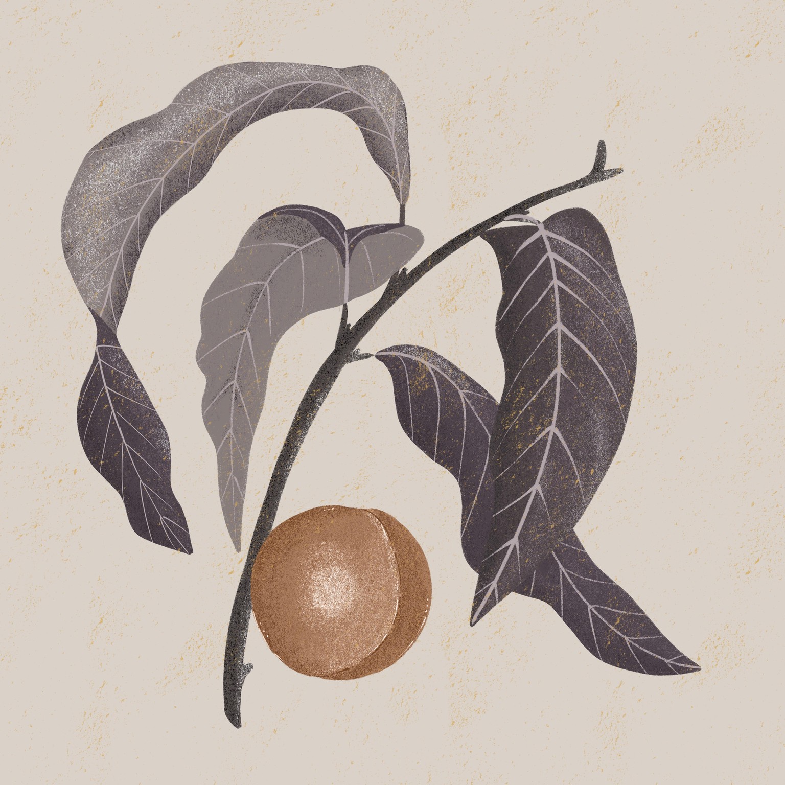 Texture and Color - image 3 - student project