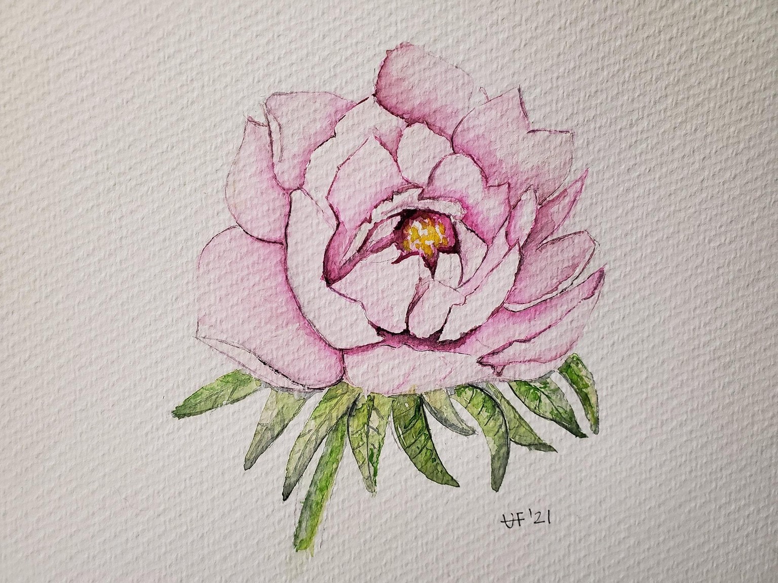 Peonias - image 1 - student project