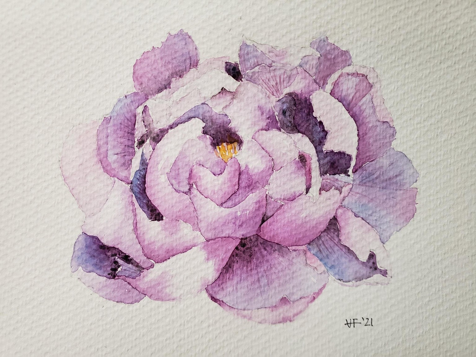 Peonias - image 2 - student project