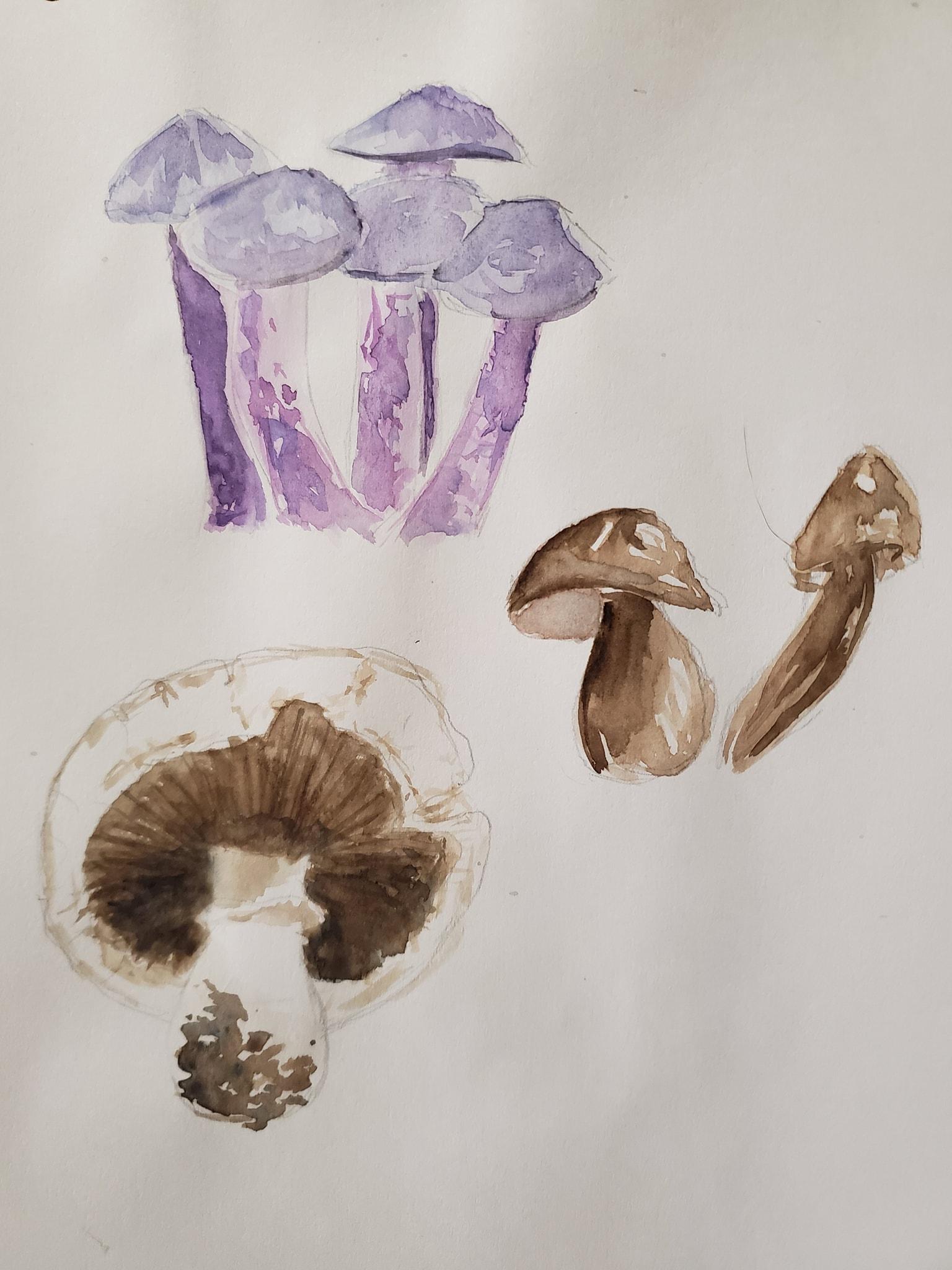 Mushrooms - image 6 - student project