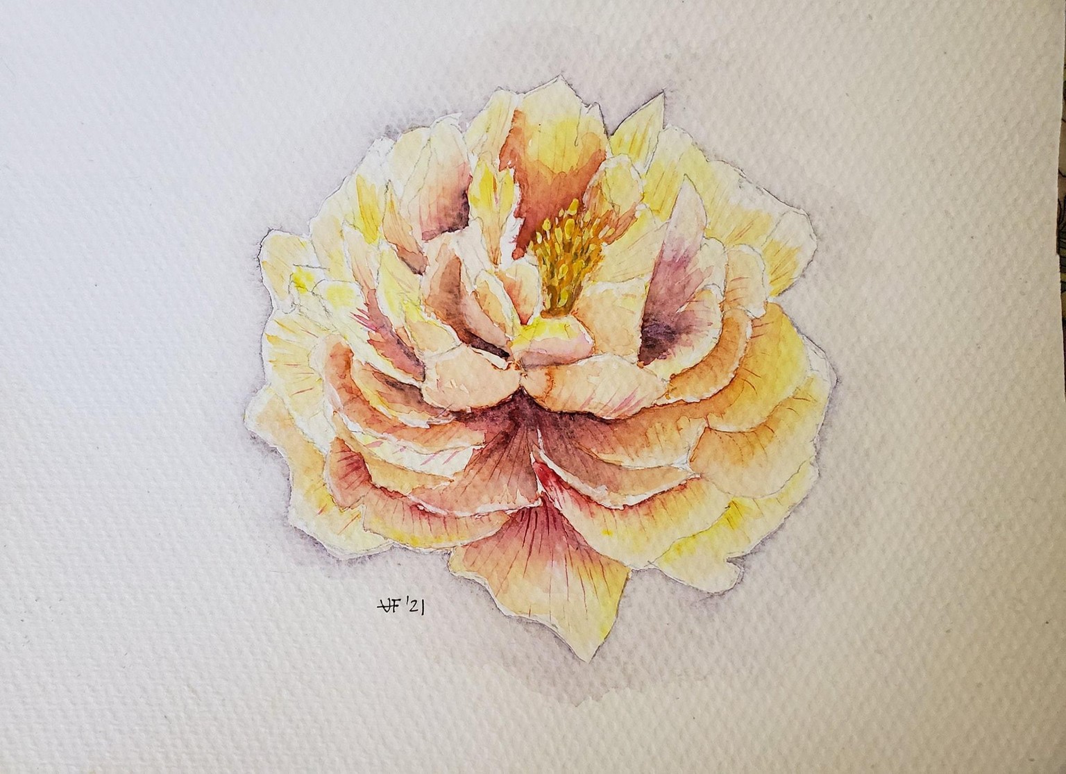 Peonias - image 3 - student project