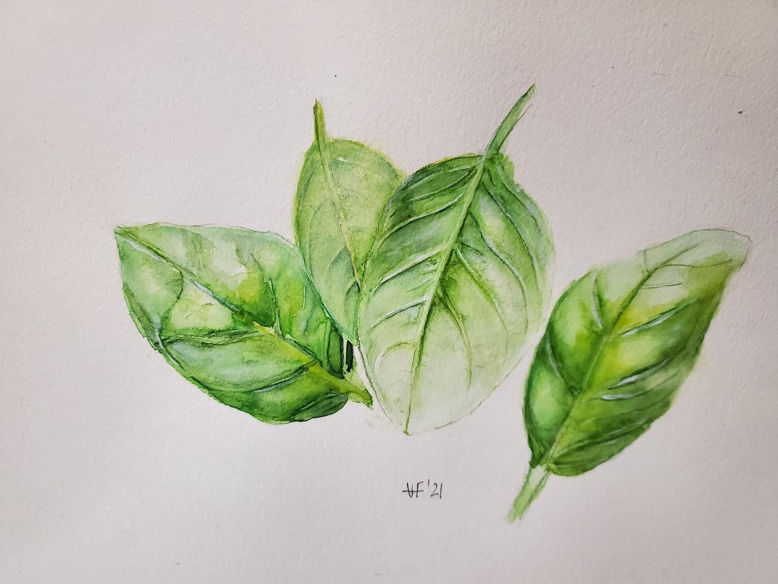 Botanic watercolor - image 2 - student project