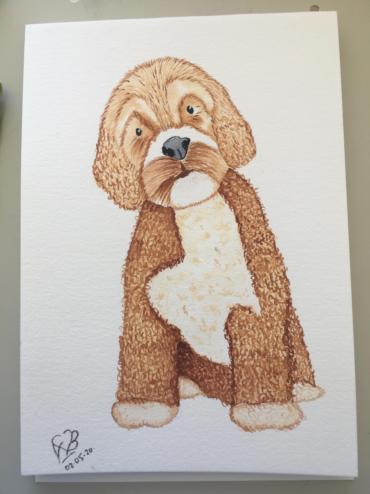 Little bit too brown puppy - image 1 - student project