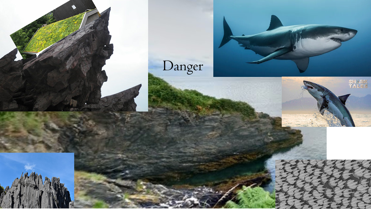 Mountain shark - image 8 - student project