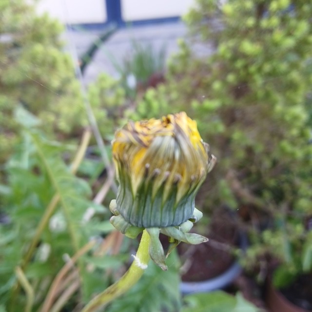 First dive into my cameraroll - image 1 - student project