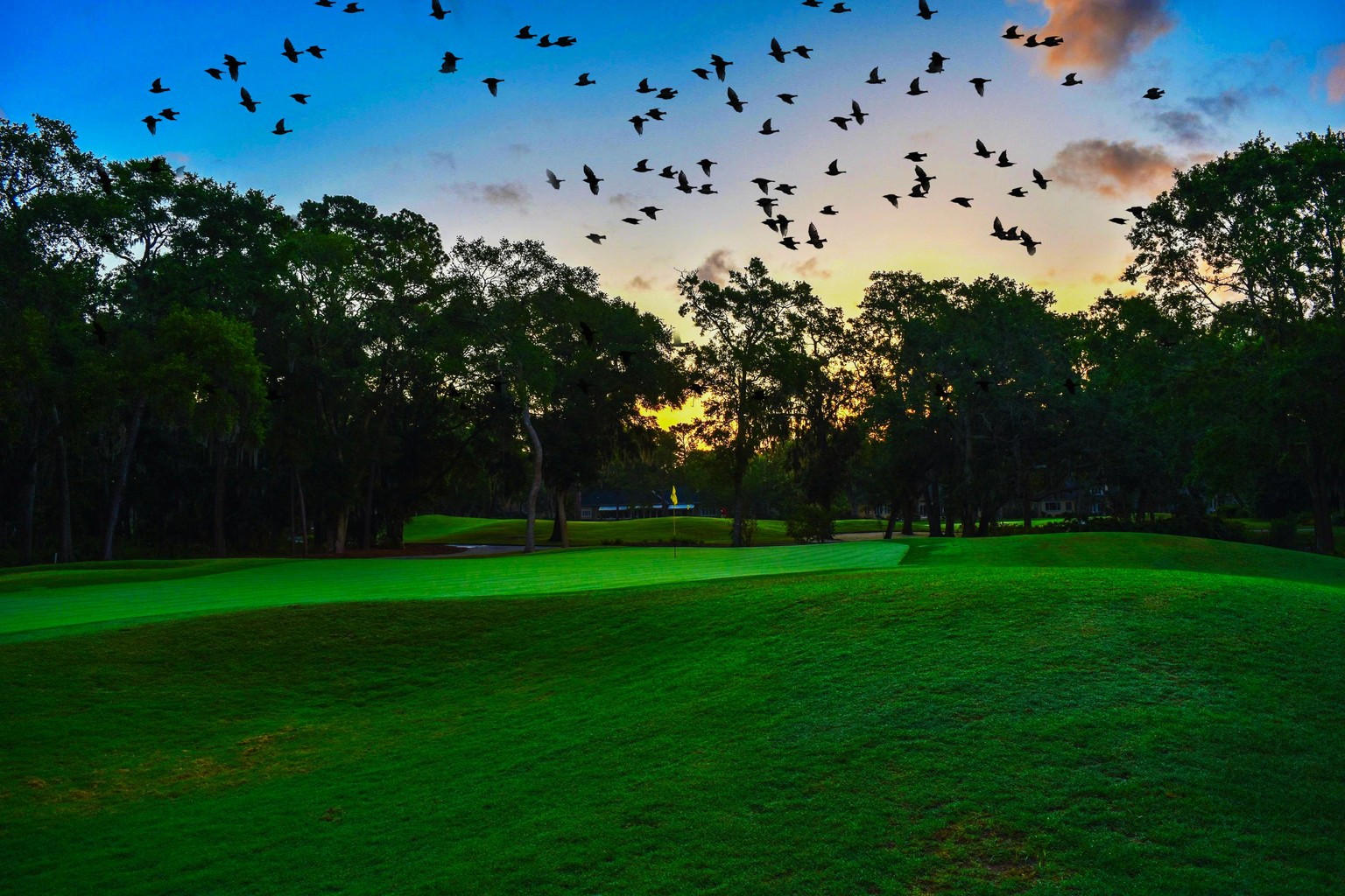My Practice Project in Master Blend Modes - image 21 - student project
