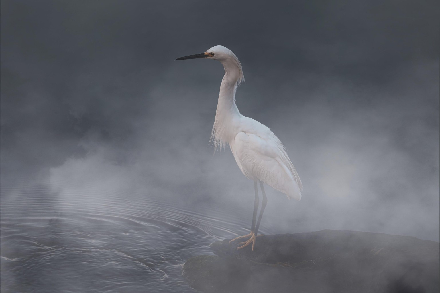 My Practice Project in Master Blend Modes - image 6 - student project