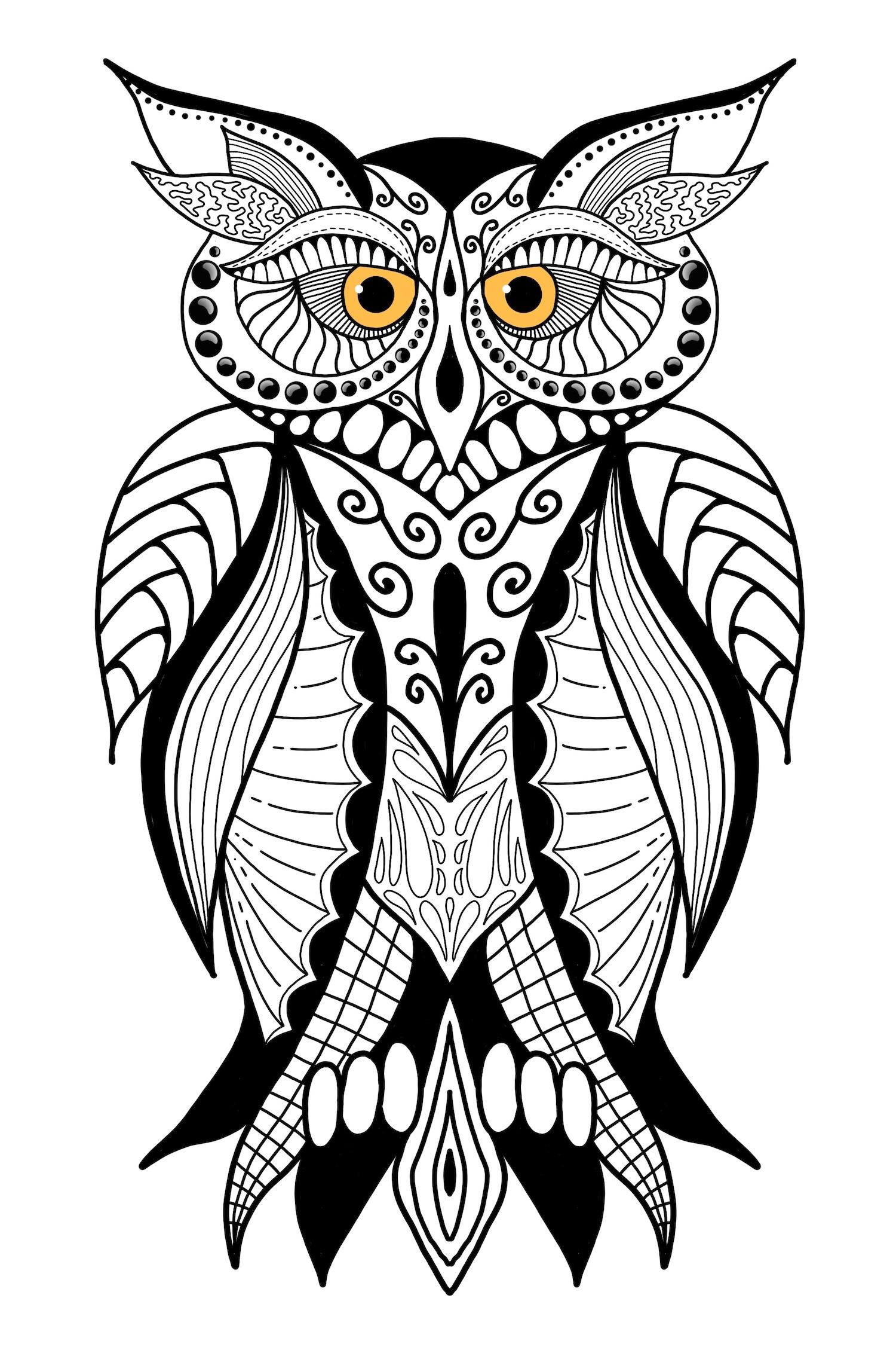 My owl - image 1 - student project
