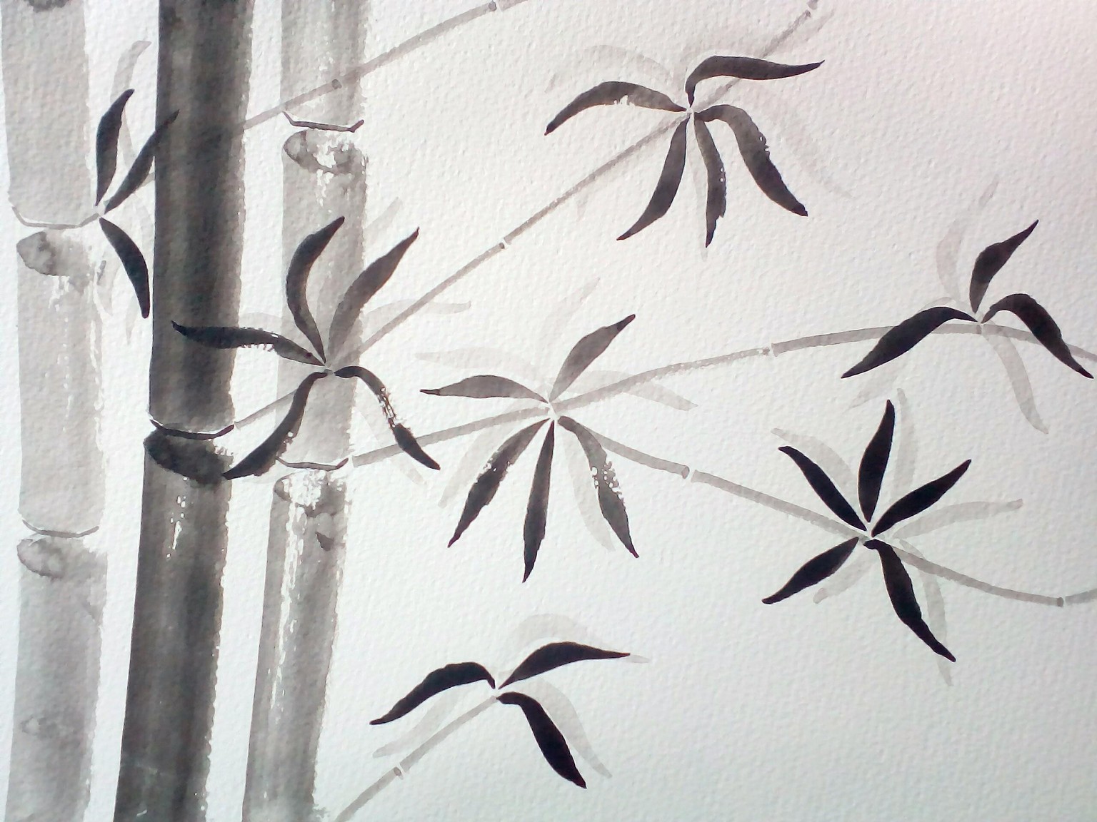 my first bamboo - image 1 - student project