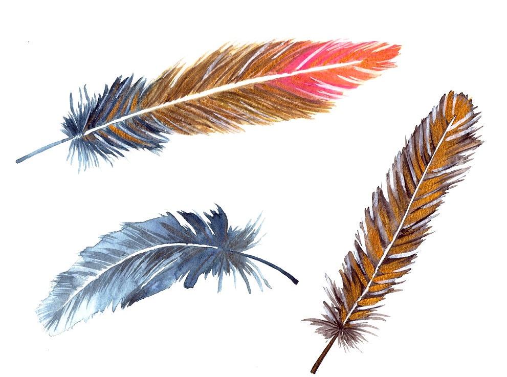 bohemian projects - image 3 - student project