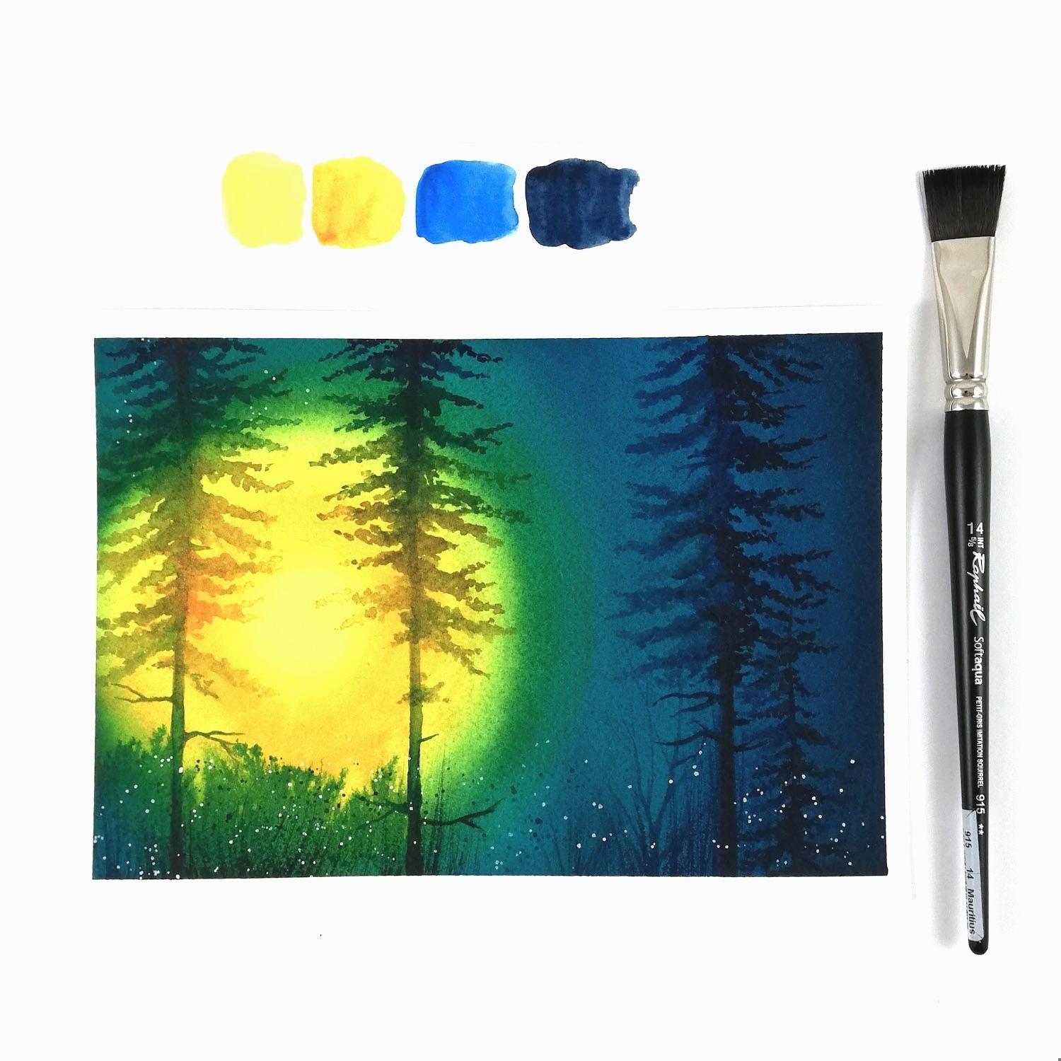 Pines in the light - image 1 - student project