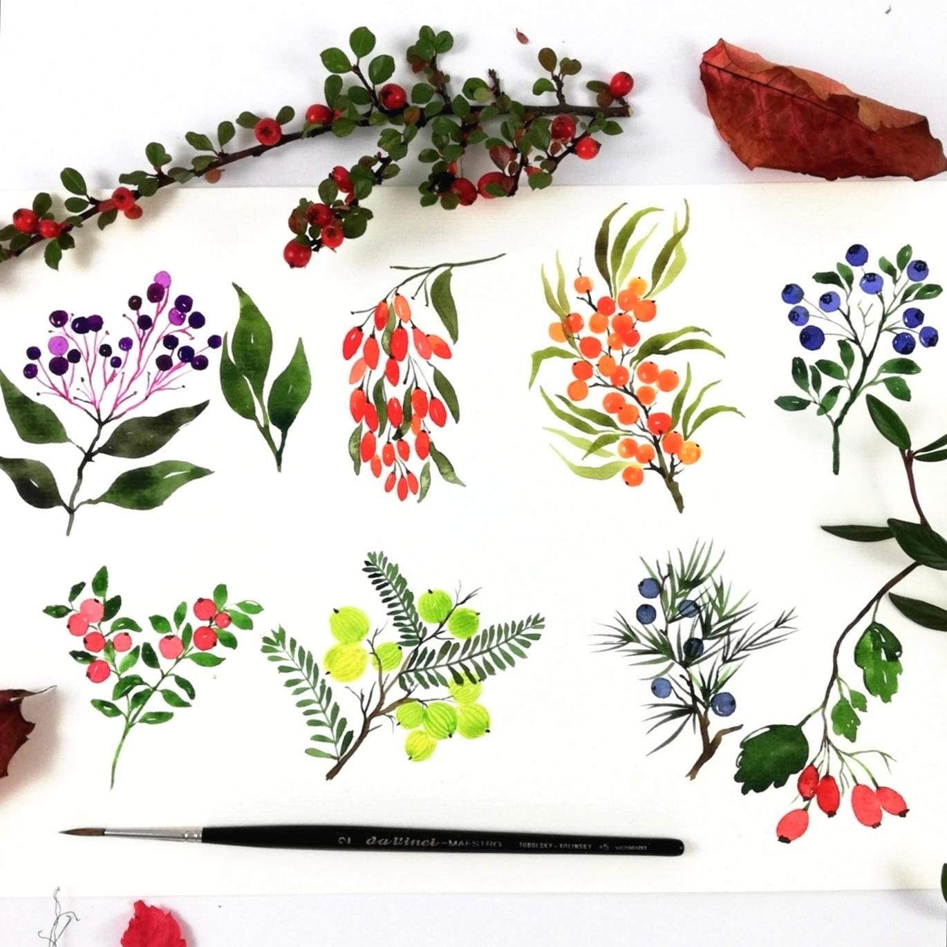 Watercolor berries - image 1 - student project