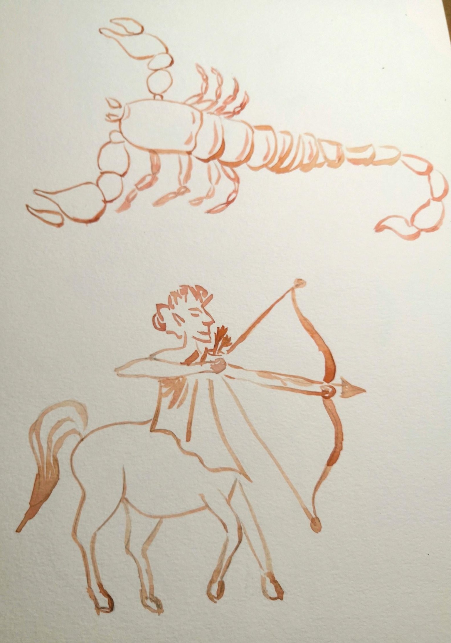 Zodiac Signs - image 4 - student project